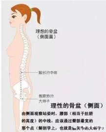 评估女性骨盆位置的超简单实用方法